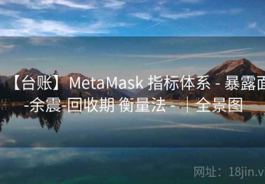 【台账】MetaMask 指标体系 - 暴露面-余震-回收期 衡量法 - ｜全景图