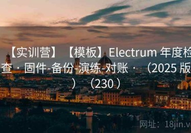 【实训营】【模板】Electrum 年度检查 · 固件-备份-演练-对账 · （2025 版）（230 ）