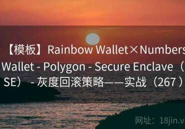 【模板】Rainbow Wallet×Numbers Wallet - Polygon - Secure Enclave（SE） - 灰度回滚策略——实战（267 ）
