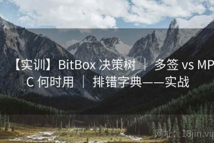 【实训】BitBox 决策树 ｜ 多签 vs MPC 何时用 ｜ 排错字典——实战