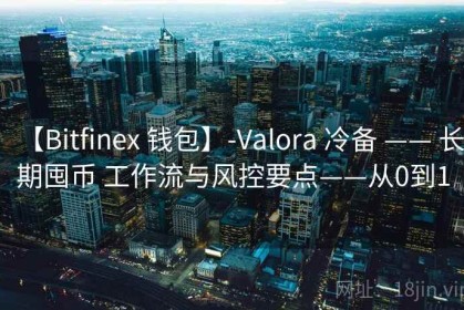 【Bitfinex 钱包】-Valora 冷备 —— 长期囤币 工作流与风控要点——从0到1
