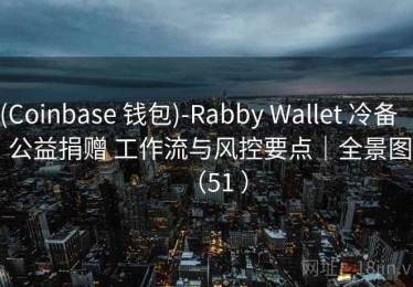 (Coinbase 钱包)-Rabby Wallet 冷备 ｜ 公益捐赠 工作流与风控要点｜全景图（51 ）