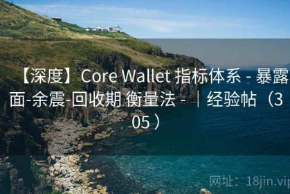 【深度】Core Wallet 指标体系 - 暴露面-余震-回收期 衡量法 - ｜经验帖（305 ）