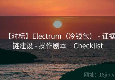 【对标】Electrum（冷钱包） - 证据链建设 - 操作剧本｜Checklist
