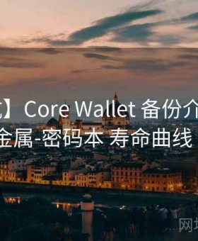 【避坑】Core Wallet 备份介质 —— 纸-金属-密码本 寿命曲线 ——