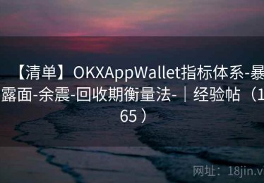 【清单】OKXAppWallet指标体系-暴露面-余震-回收期衡量法-｜经验帖（165 ）