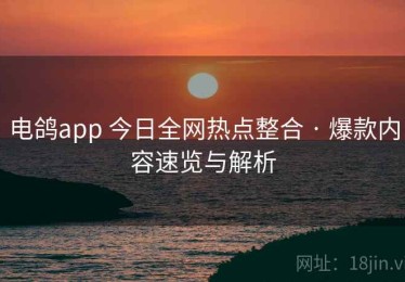 电鸽app 今日全网热点整合 · 爆款内容速览与解析
