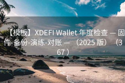 【模板】XDEFI Wallet 年度检查 — 固件-备份-演练-对账 — （2025 版）（367 ）