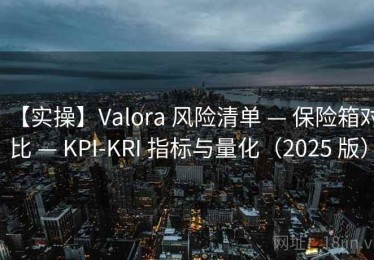 【实操】Valora 风险清单 — 保险箱对比 — KPI-KRI 指标与量化（2025 版）
