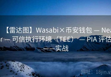 【雷达图】Wasabi×币安钱包 — Near — 可信执行环境（TEE） — PIA 评估——实战
