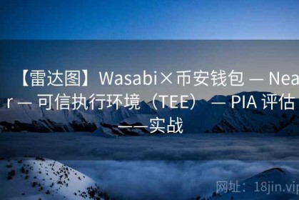 【雷达图】Wasabi×币安钱包 — Near — 可信执行环境（TEE） — PIA 评估——实战