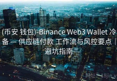 (币安 钱包)-Binance Web3 Wallet 冷备 — 供应链付款 工作流与风控要点｜避坑指南