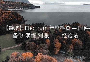 【避坑】Electrum 年度检查 — 固件-备份-演练-对账 — ｜经验帖