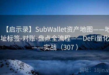 【启示录】SubWallet资产地图——地址标签-对账-盘点全流程——DeFi量化——实战（307 ）