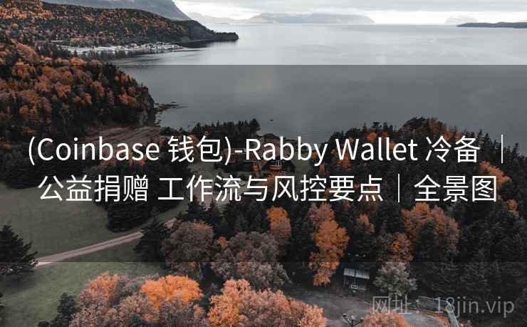 (Coinbase 钱包)-Rabby Wallet 冷备 ｜ 公益捐赠 工作流与风控要点｜全景图