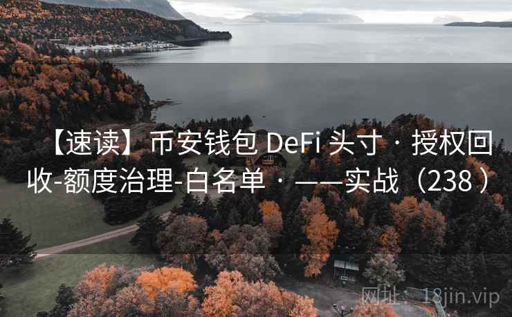 【速读】币安钱包 DeFi 头寸 · 授权回收-额度治理-白名单 · ——实战（238 ）