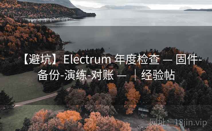 【避坑】Electrum 年度检查 — 固件-备份-演练-对账 — ｜经验帖