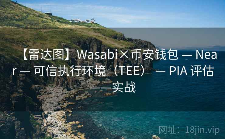 【雷达图】Wasabi×币安钱包 — Near — 可信执行环境（TEE） — PIA 评估——实战