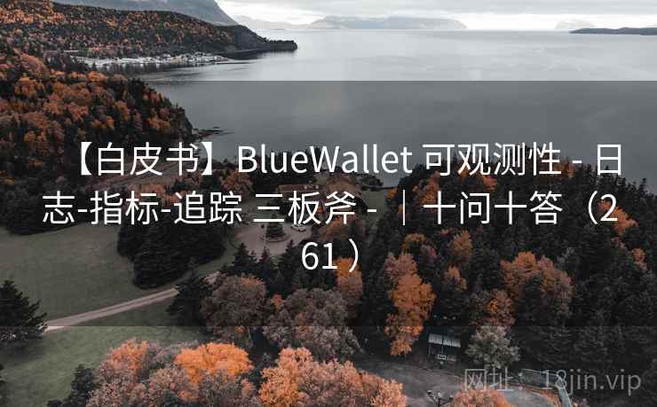 【白皮书】BlueWallet 可观测性 - 日志-指标-追踪 三板斧 - ｜十问十答（261 ）