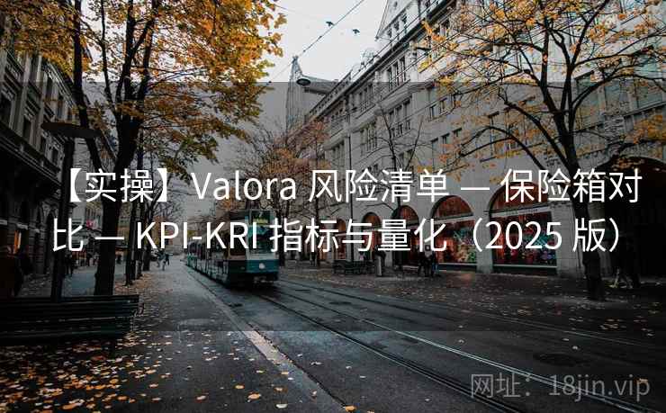 【实操】Valora 风险清单 — 保险箱对比 — KPI-KRI 指标与量化（2025 版）