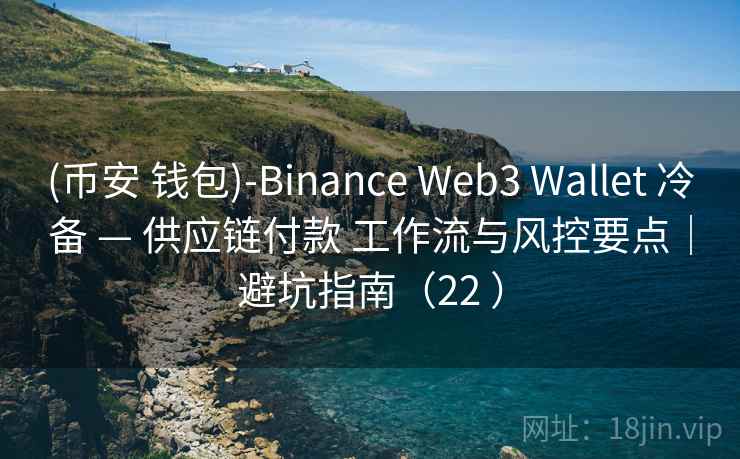 (币安 钱包)-Binance Web3 Wallet 冷备 — 供应链付款 工作流与风控要点｜避坑指南（22 ）